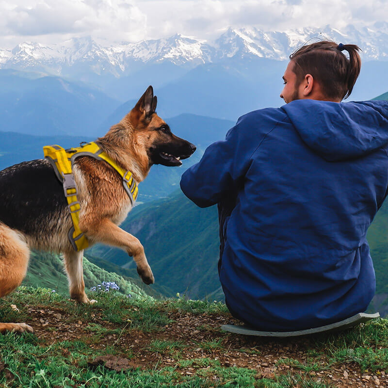 ThinkPet-Summer-Big-Sale-No-Pull-Dog-Harness-2023