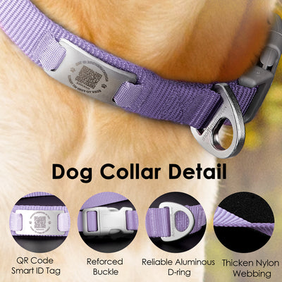 ADVENTUREMORE Smart ID Tag QR Code Nylon Dog Collar - Prevents Small, Medium, Large Dogs from Getting Lost at Night, Displays Owner and Pet Details - Durable, Adjustable