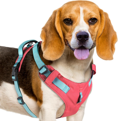 AdventureMore Lightweight Dog Harness with QR Code Dog Tag Breathable Escape Proof Vest Harness for Puppy Small Medium Dogs and Cats Easy to Put On and Control for Training Walking