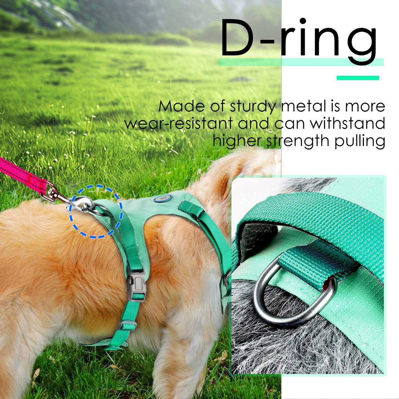 AdventureMore Lightweight Dog Harness with QR Code Dog Tag Breathable Escape Proof Vest Harness for Puppy Small Medium Dogs and Cats Easy to Put On and Control for Training Walking