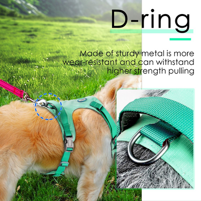 AdventureMore Lightweight Dog Harness with QR Code Dog Tag Breathable Escape Proof Vest Harness for Puppy Small Medium Dogs and Cats Easy to Put On and Control for Training Walking