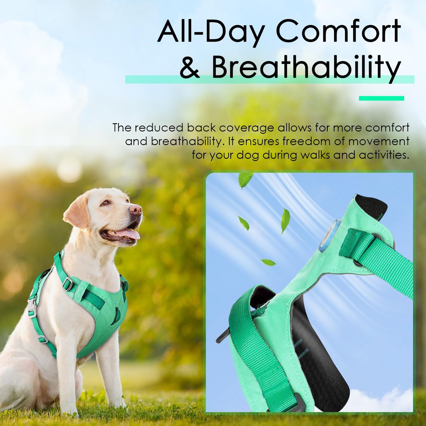 AdventureMore Lightweight Dog Harness with QR Code Dog Tag Breathable Escape Proof Vest Harness for Puppy Small Medium Dogs and Cats Easy to Put On and Control for Training Walking