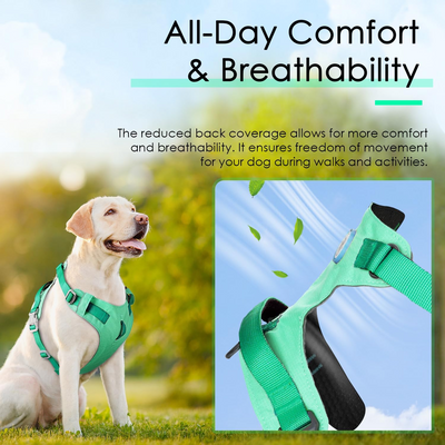 AdventureMore Lightweight Dog Harness with QR Code Dog Tag Breathable Escape Proof Vest Harness for Puppy Small Medium Dogs and Cats Easy to Put On and Control for Training Walking