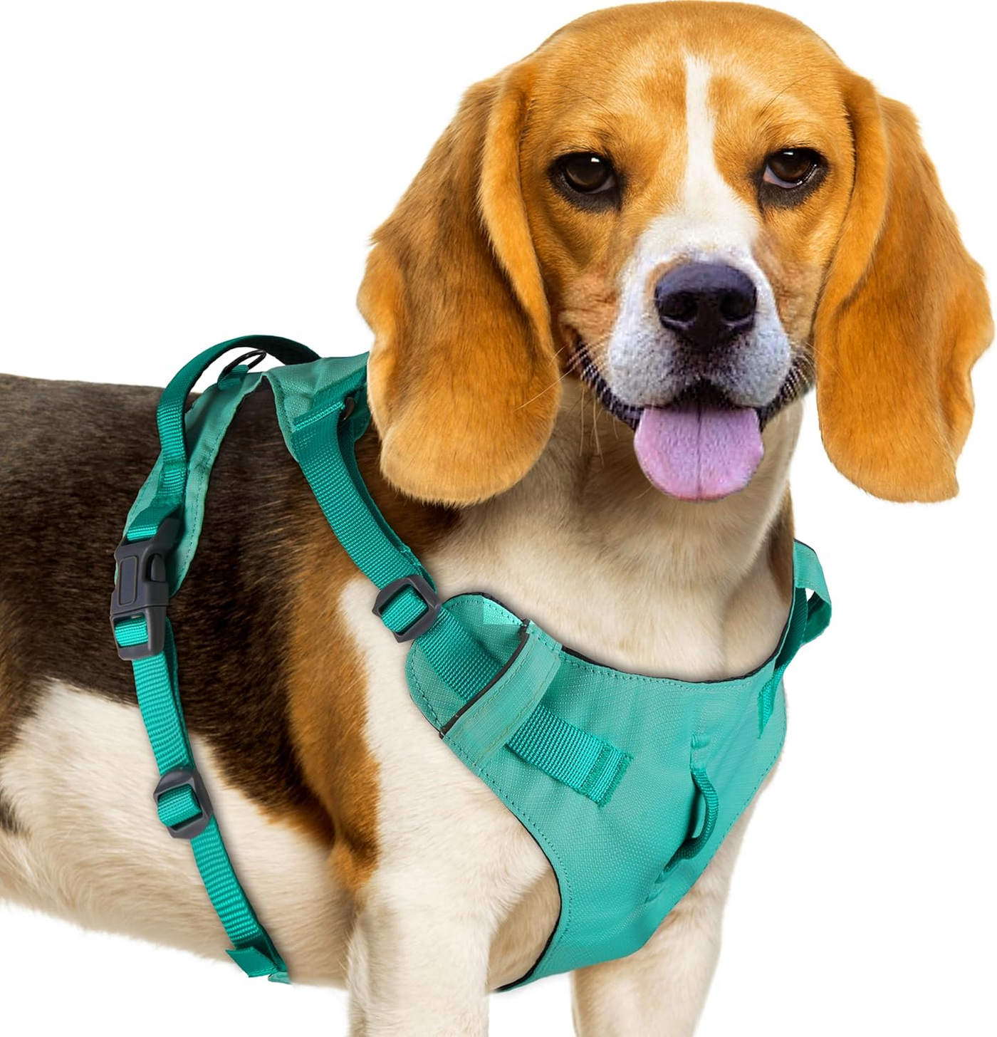 AdventureMore Lightweight Dog Harness with QR Code Dog Tag Breathable Escape Proof Vest Harness for Puppy Small Medium Dogs and Cats Easy to Put On and Control for Training Walking