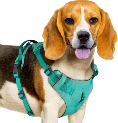 AdventureMore Lightweight Dog Harness with QR Code Dog Tag Breathable Escape Proof Vest Harness for Puppy Small Medium Dogs and Cats Easy to Put On and Control for Training Walking