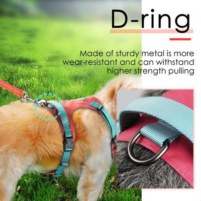 AdventureMore Lightweight Dog Harness with QR Code Smart Pet ID Code AirTag Holder Breathable Escape Proof Vest Harness for Puppy Small Medium Dogs and Cats Easy to Put On and Control