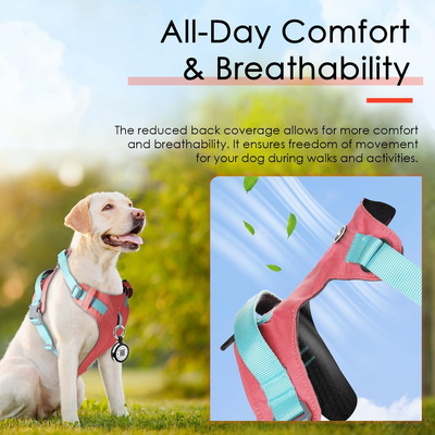 AdventureMore Lightweight Dog Harness with QR Code Smart Pet ID Code AirTag Holder Breathable Escape Proof Vest Harness for Puppy Small Medium Dogs and Cats Easy to Put On and Control