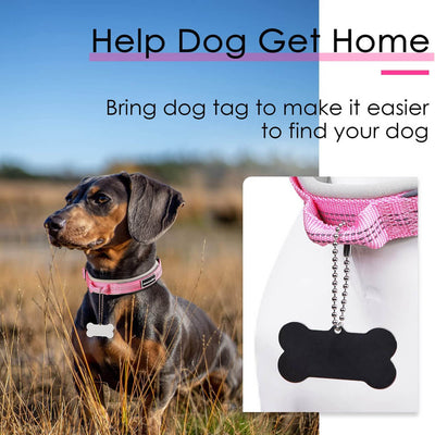 AdventureMore-Dog-Collar-ID-Strap-2022