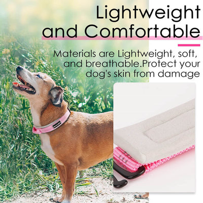 AdventureMore-Dog-Collar-Light-Weight-And-Comfortable-2022