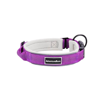 AdventureMore-Dog-Collar-Purple-2022