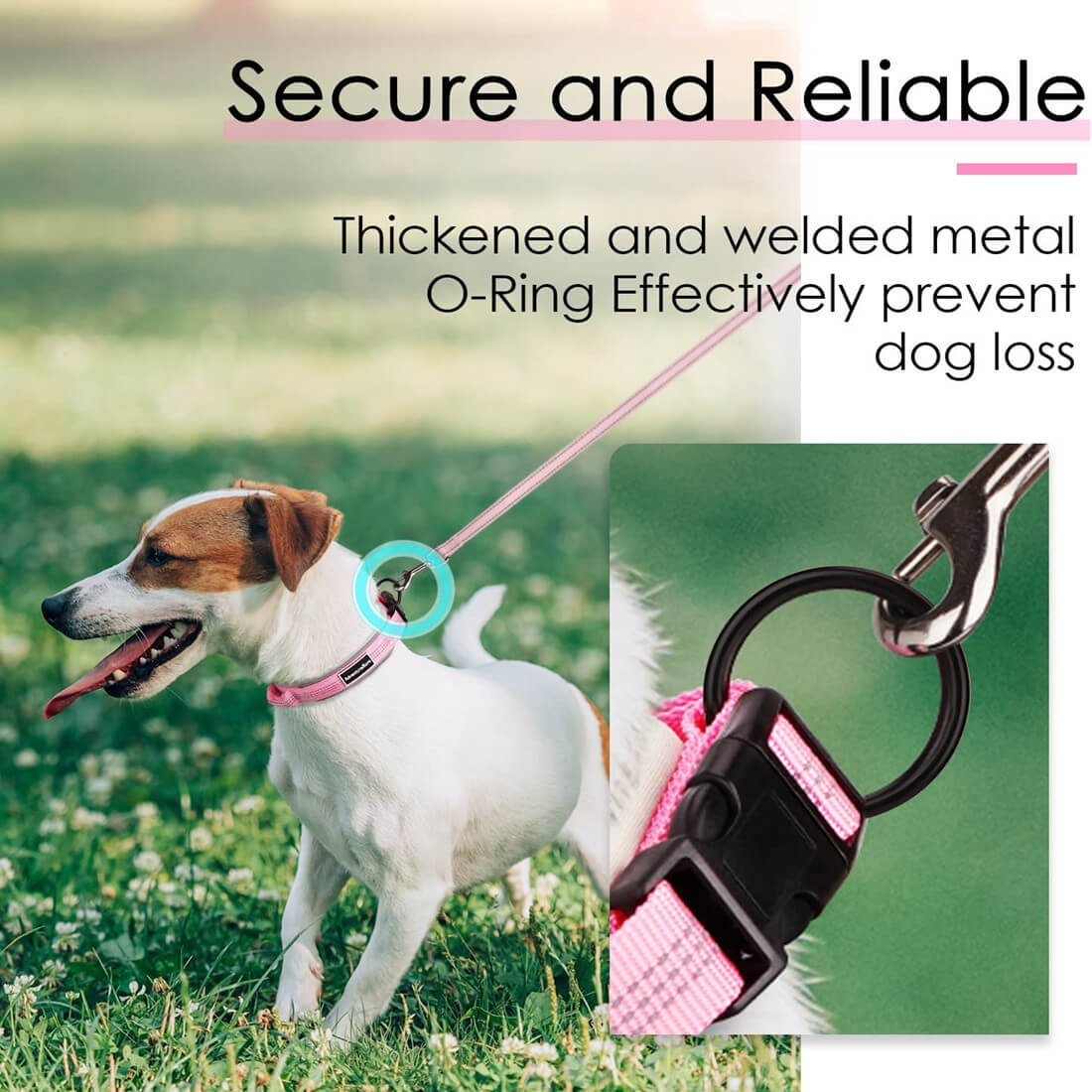 AdventureMore-Dog-Collar-Secure-And-Reliable-2022