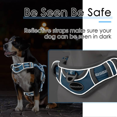 AdventureMore-Dog-Vest-Harness-Be-Seen-Be-Safe-2022