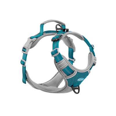 Anti-Pull-Dog-Harness-BrightTeal-ThinkPet-2023