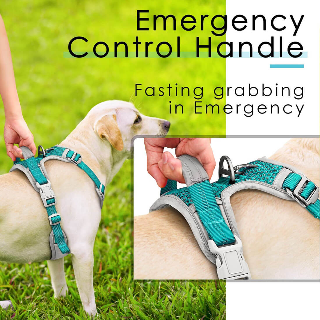 Anti-Pull-Dog-Harness-Emergency-Rescue-Handle-ThinkPet-2022