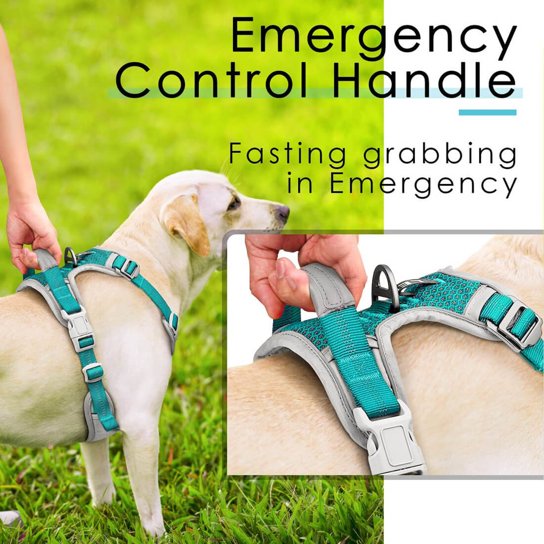 Well Designed Anti Overpull Dog Harness photo
