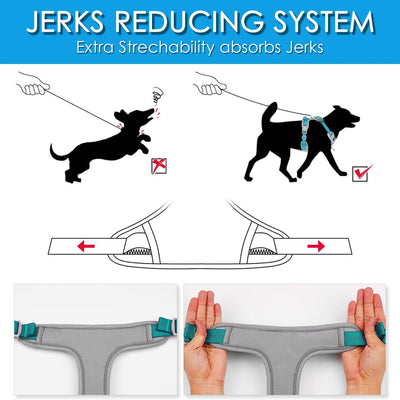 Anti-Pull-Dog-Harness-Jerks-Reducing-System-ThinkPet-2022