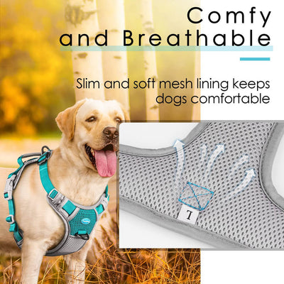 Anti-Pull-Dog-Harness-Skin-Friendly-Material-ThinkPet-2022
