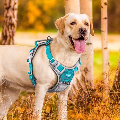 Anti-Pull-Dog-Harness-ThinkPet-2022