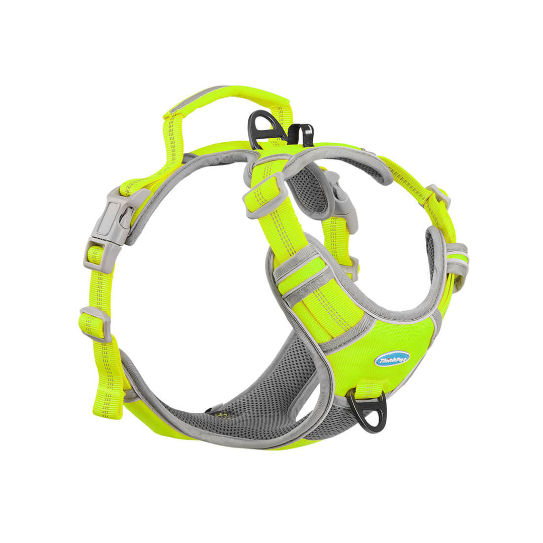 No-Pull-Dog-Harness-Neon-Green