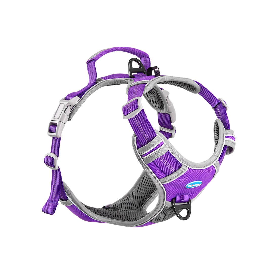 Beautiful view of No Pull Puppy Harness For Puppies With Hypnotic Owners