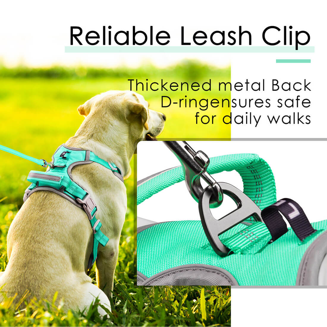 No-Pull-Dog-Harness-Reliable-Back-Leash-Clip-2022
