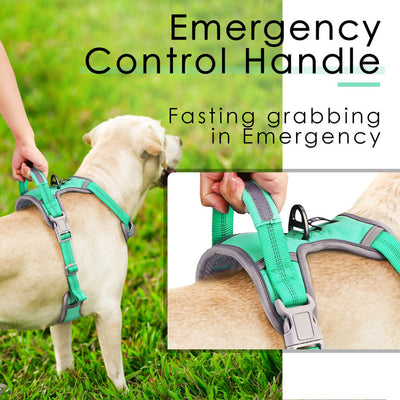 No-Pull-Dog-Harness-With-Emergency-Rescue-Handle-ThinkPet-2022