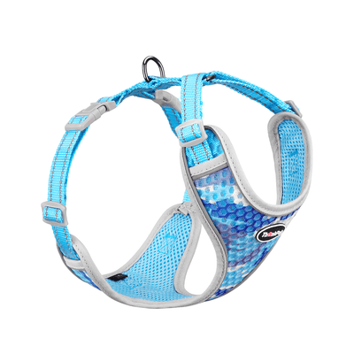 Small-Dog-Harness-Air-Mesh-Camouflage-Blue-2022