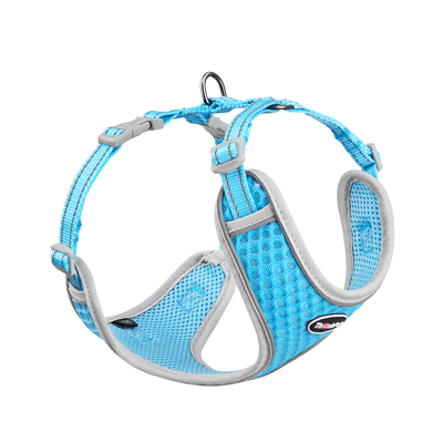 Small-Dog-Harness-Air-Mesh-Neon-Blue-2022
