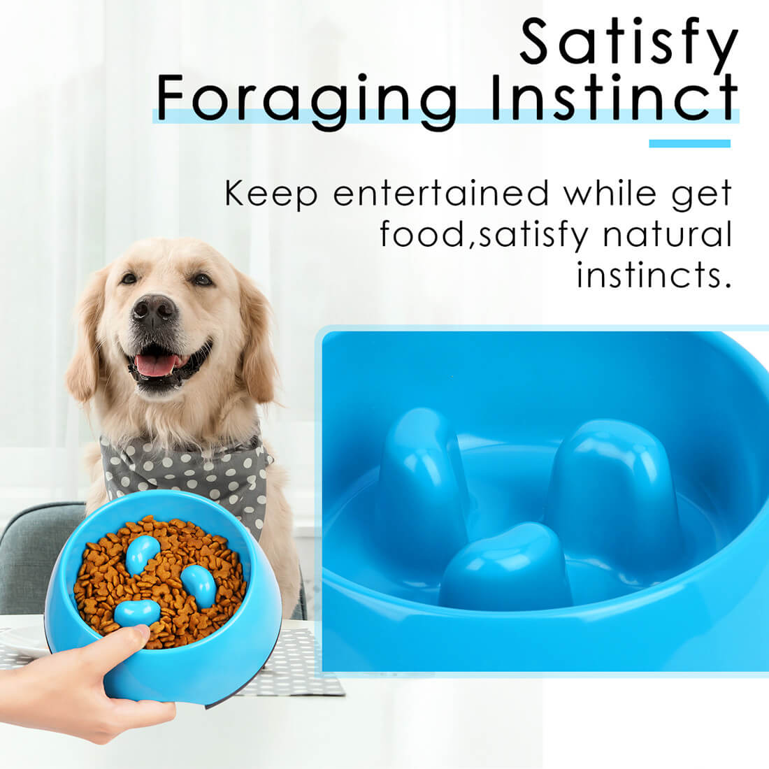 SpeedyPet Interactive Dog & Cat Slow Food Puzzle Feeder