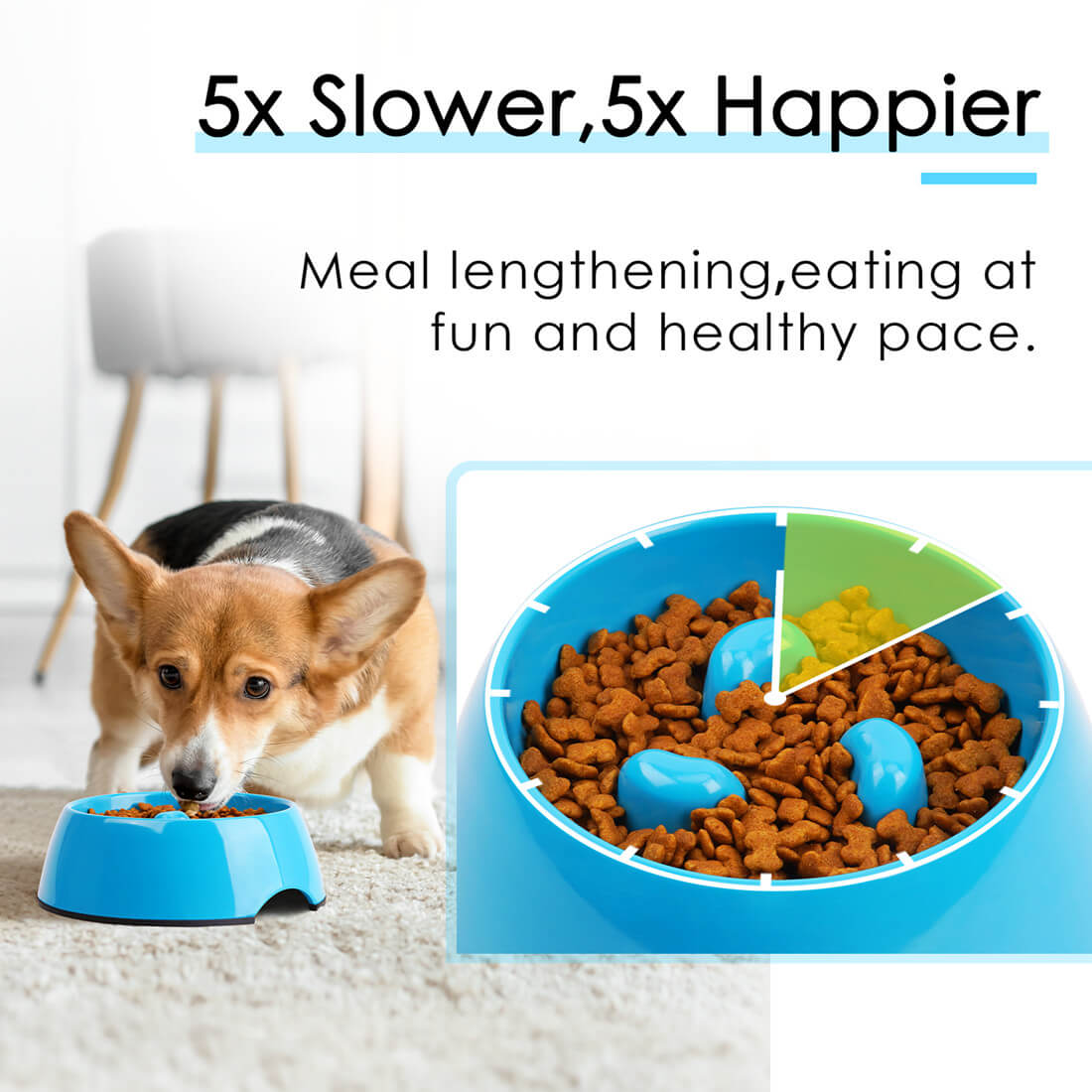 Ask Dr. Dog – Ditching the Bowl: How Puzzle Feeding Benefits Your