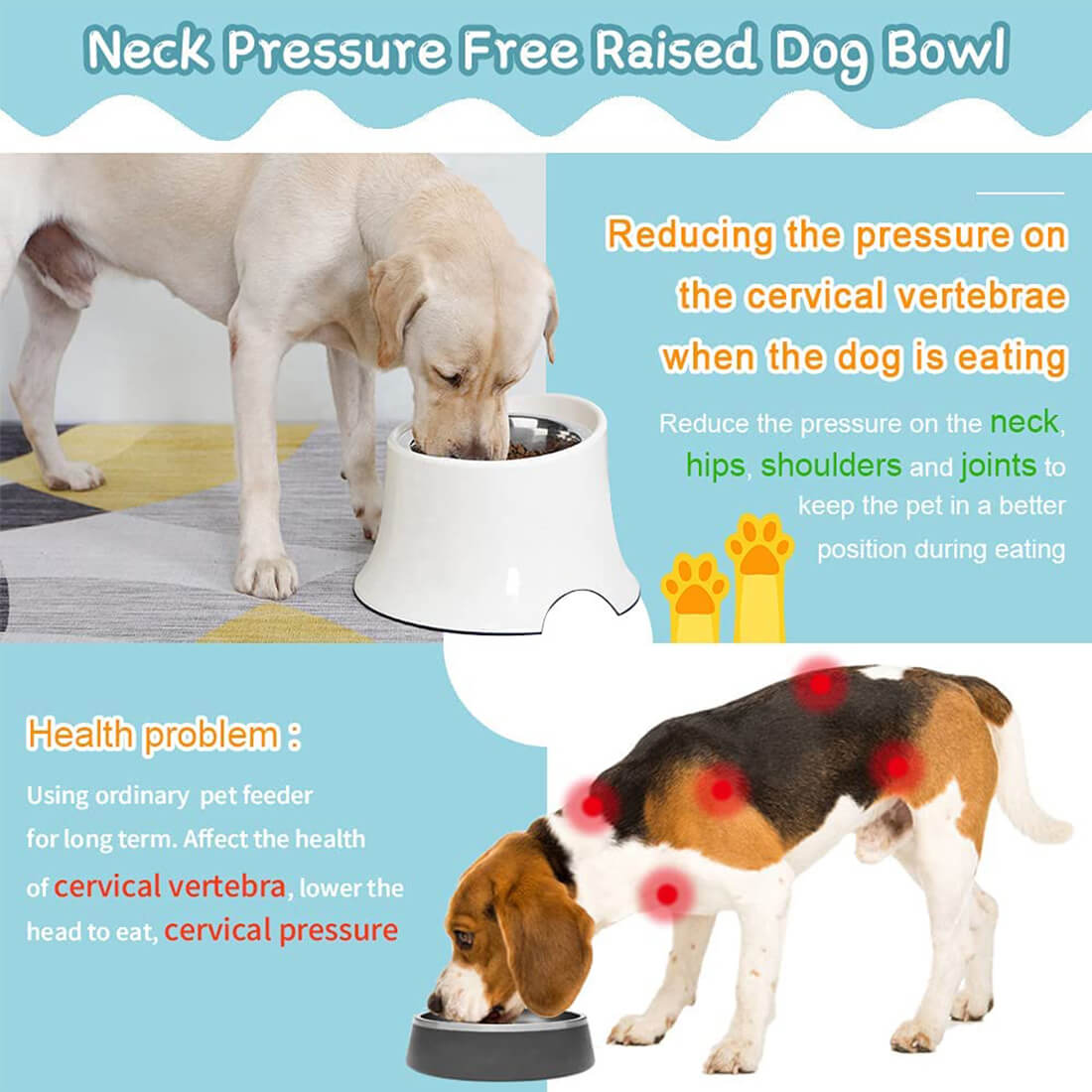 How to Measure for Raised Pet Food Bowls and Why