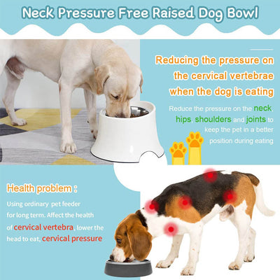 SuperDesign-Elevated-Dog-Bowl-Reduce-Neck-Pressure-2022