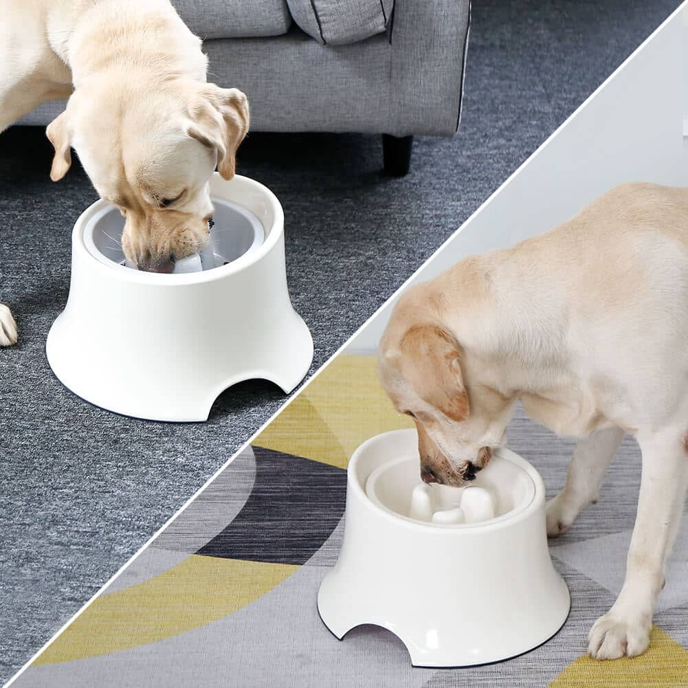SuperDesign-Elevated-Dog-Bowl-Slow-Bowl-Replacement-2021