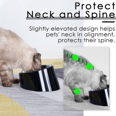 SuperDesign-Slanted-Dog-Bowl-Protect-Neck-And-Spine-2022