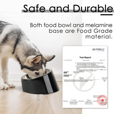 SuperDesign-Slanted-Dog-Bowl-Safe-And-Durable-2022