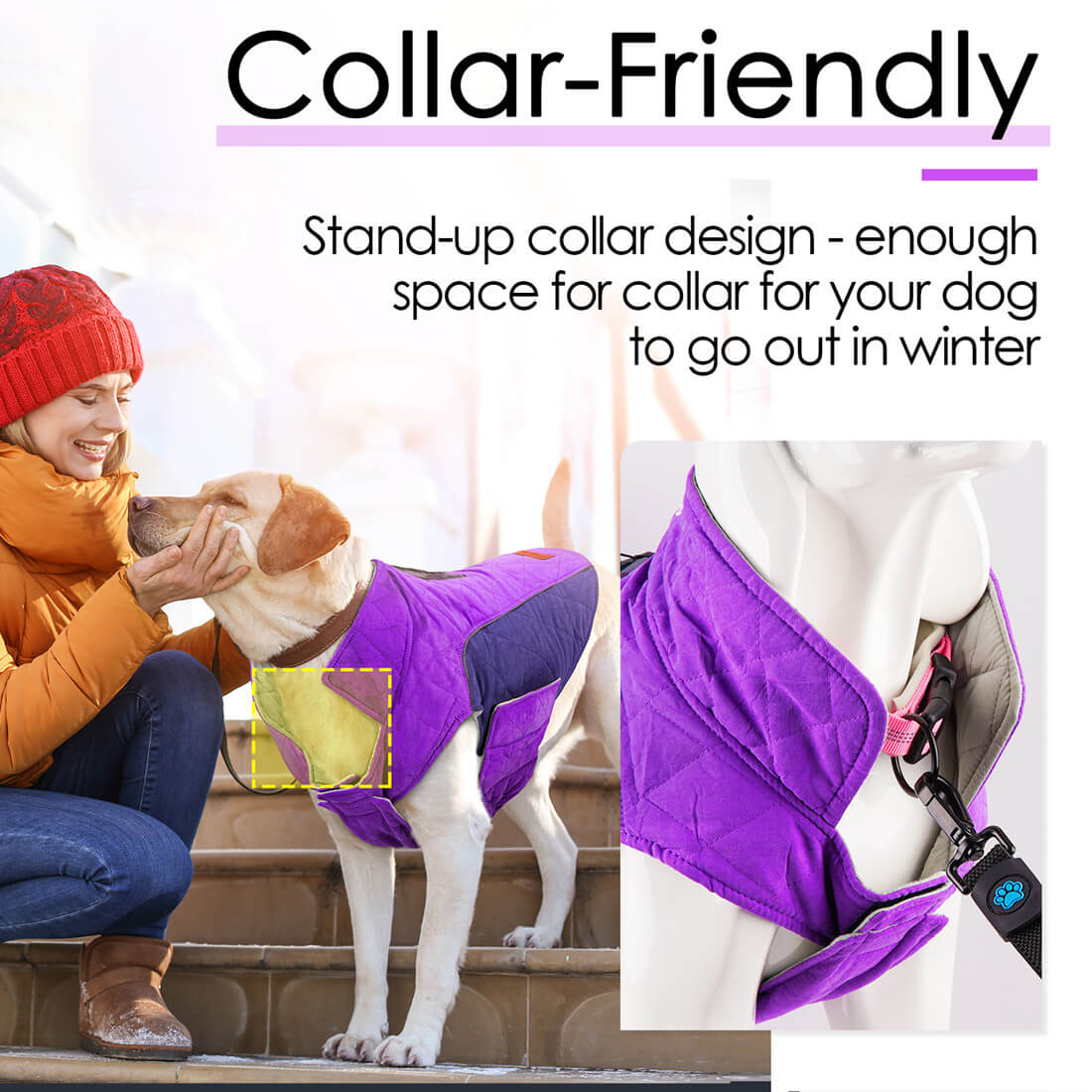 ThinkPet-Dog-Winter-Coat-Collar-Friendly-Design-2022