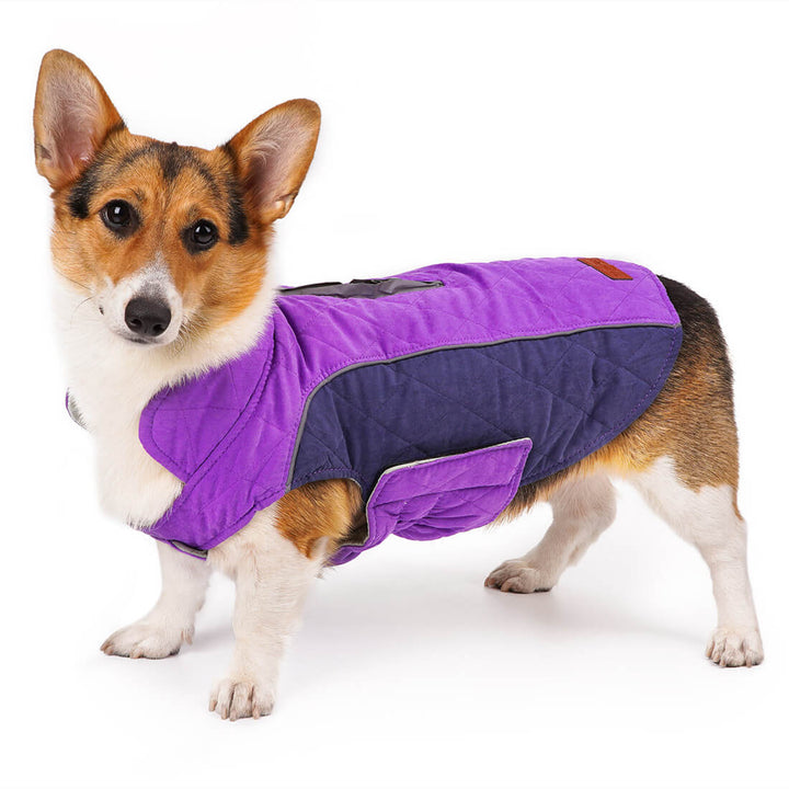 ThinkPet-Dog-Winter-Coat-