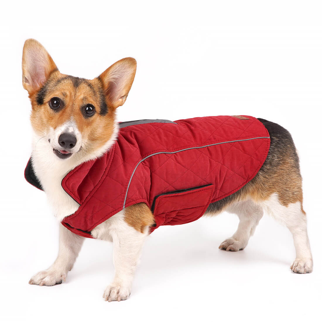 ThinkPet-Dog-Winter-Coat-Red-2022