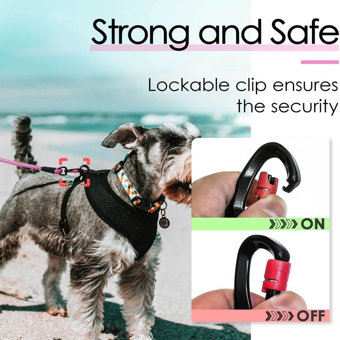ThinkPet-Rope-Dog-Leash-Strong-and-Safe-2022