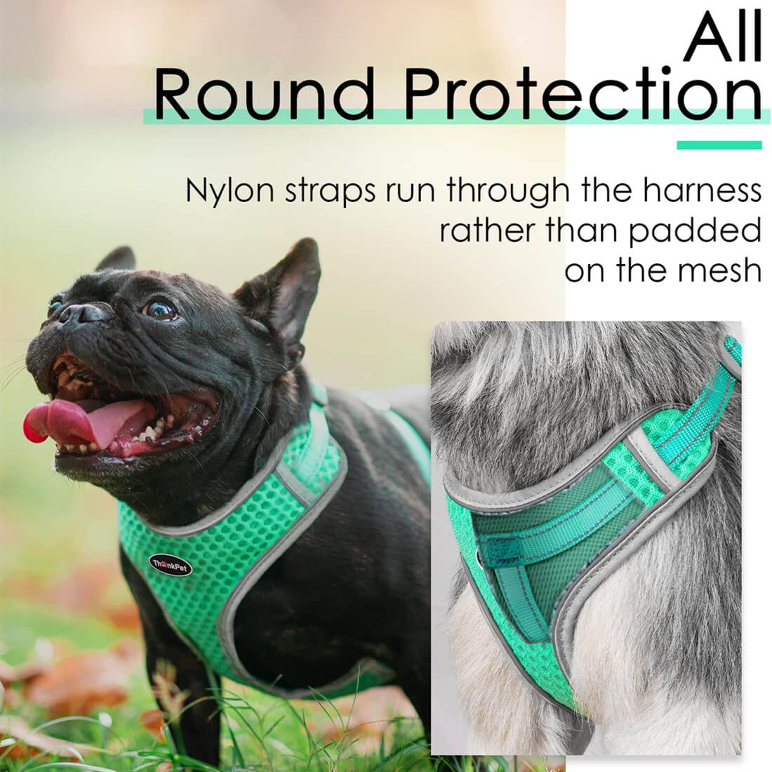 ThinkPet-Small-Dog-Harness-All-Round-Protection-2023