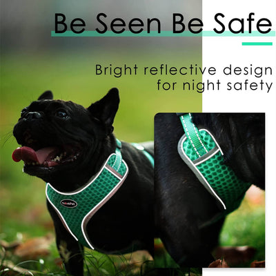 ThinkPet-Small-Dog-Harness-Be-Seen-Be-Safe-2023
