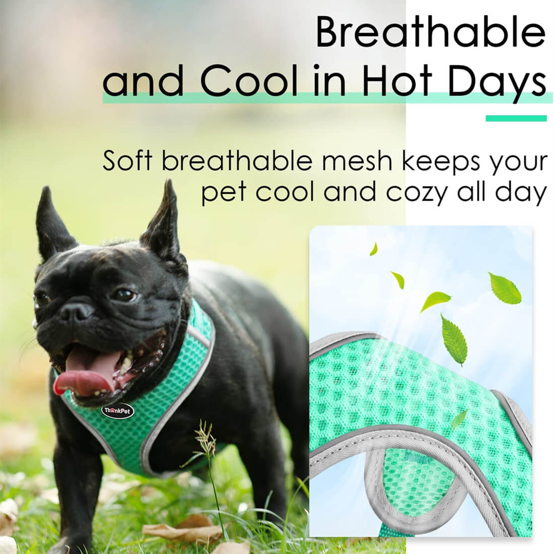 ThinkPet-Small-Dog-Harness-Breathable-and-Cool-2023