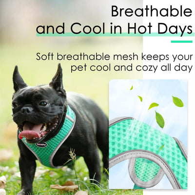 ThinkPet-Small-Dog-Harness-Breathable-and-Cool-2023