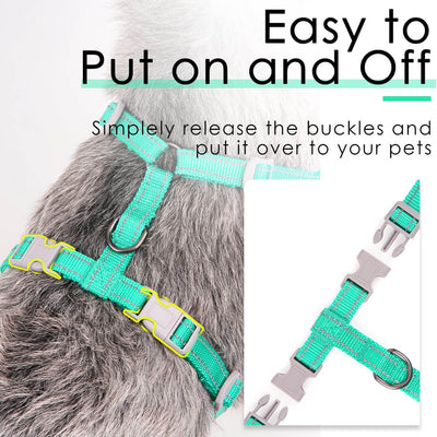 ThinkPet-Small-Dog-Harness-Easy-On-and-Off-2023