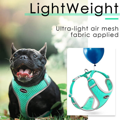 ThinkPet-Small-Dog-Harness-Light-Weight-2023