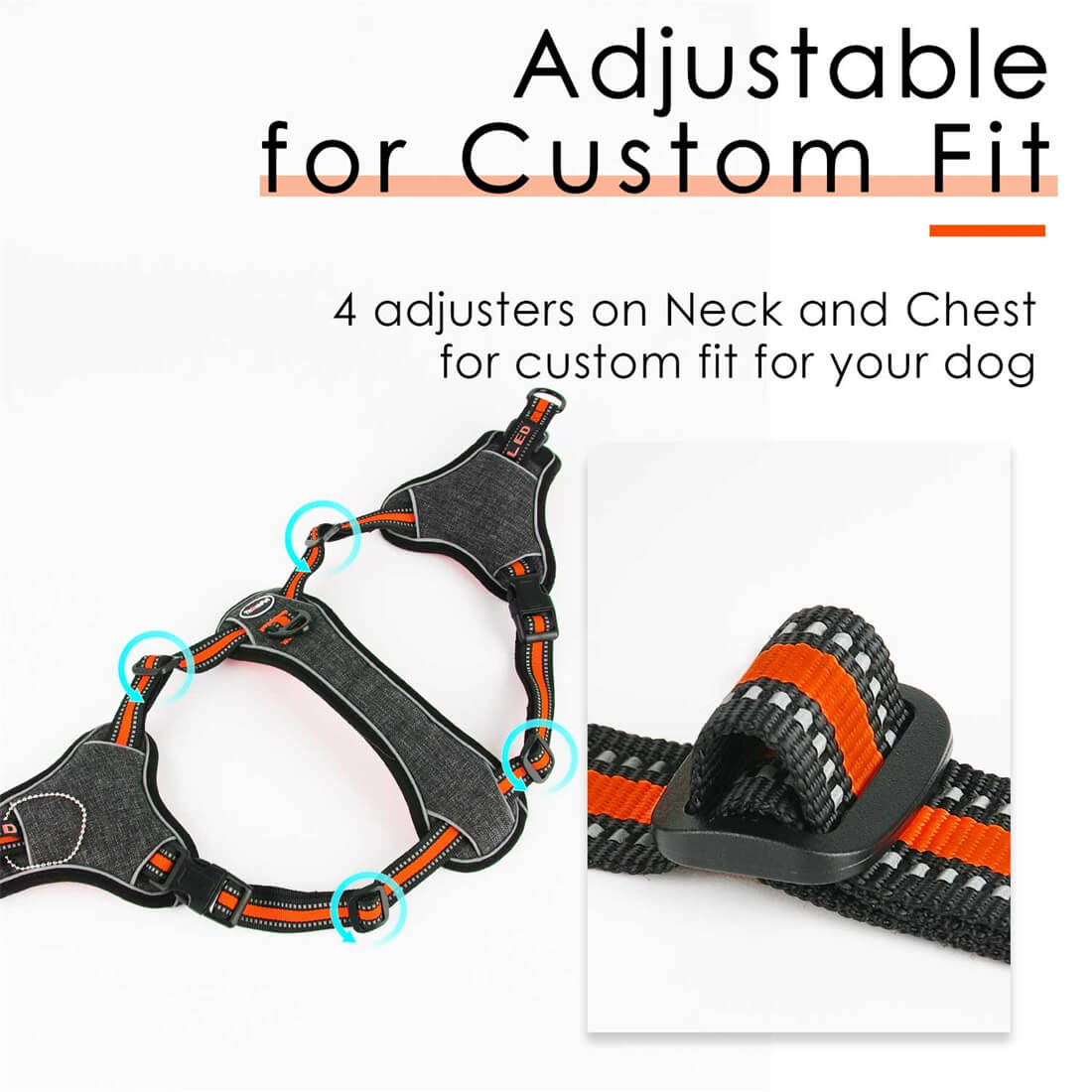 ThinkPet-Step-In-Dog-Harness-Adjust-Custom-Fit-2022