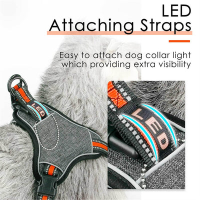 ThinkPet-Step-In-Dog-Harness-Functional-Accessories-2022