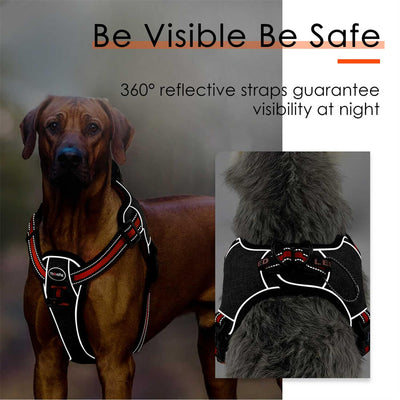 ThinkPet-Step-In-Dog-Harness-Reflective-Straps-2022
