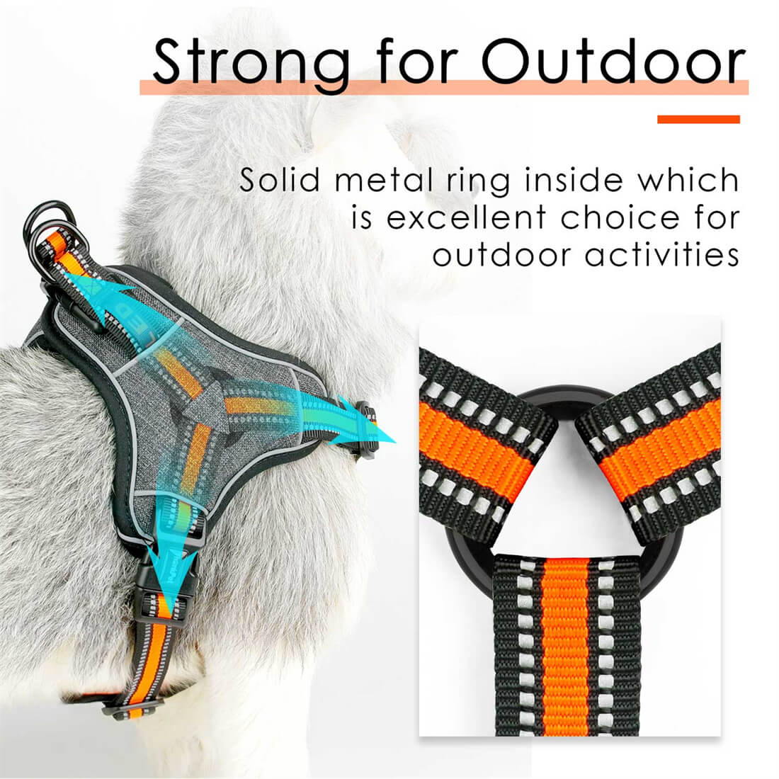 ThinkPet-Step-In-Dog-Harness-Strong-and-Durable-Feature-2022